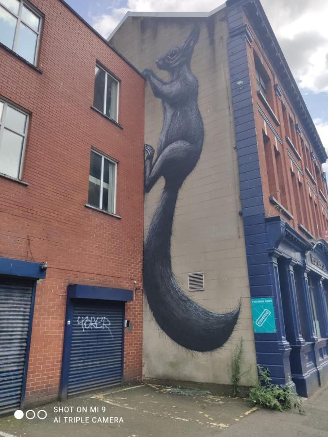 Belfast Riverview Luaran gambar